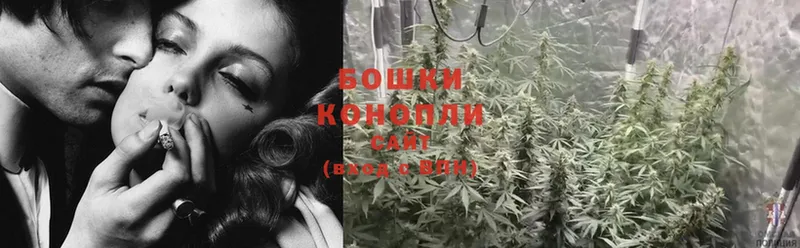 где найти наркотики  Кушва  Канабис SATIVA & INDICA 